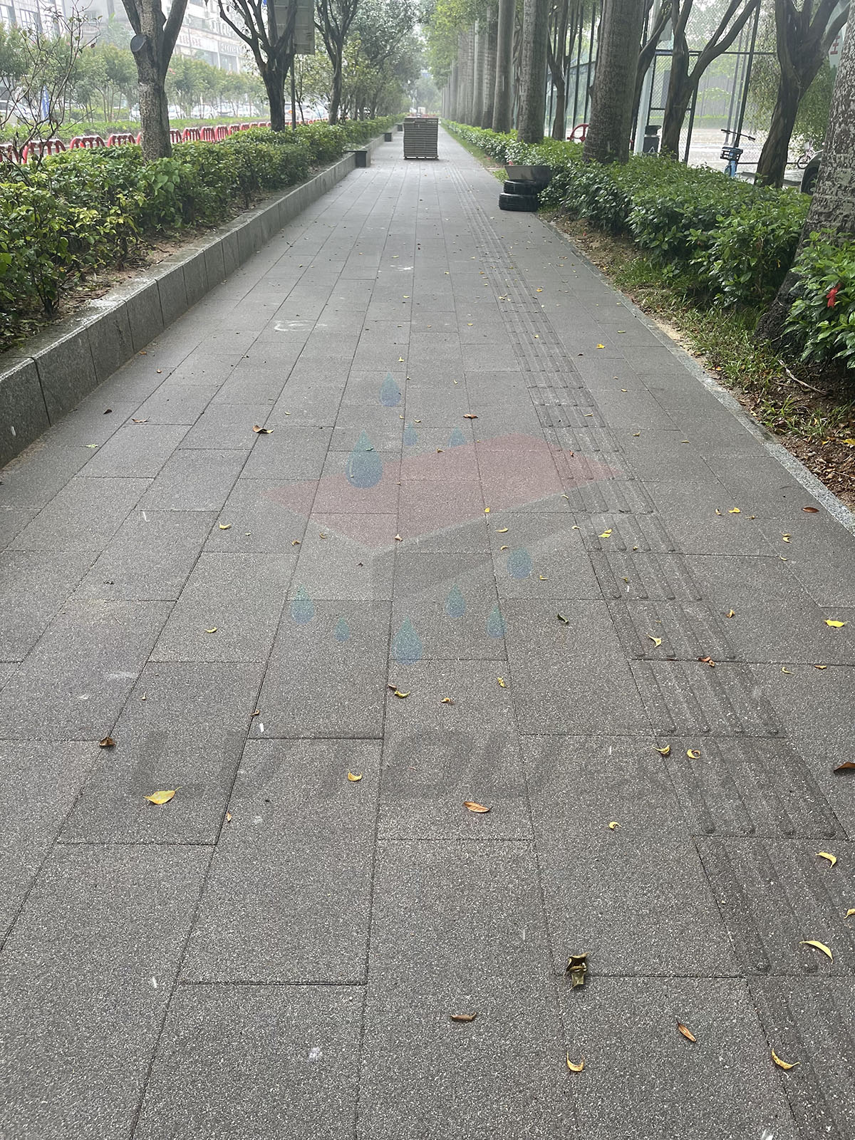 深圳福田皇崗路